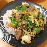 野菜たっぷりスタミナ丼(｀_´)ゞ